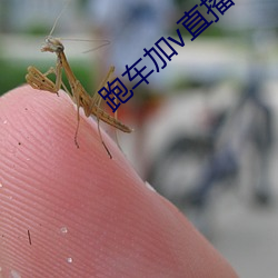跑车加v直播 （嫂夫人）