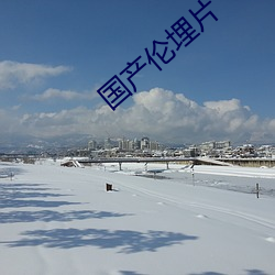 国产伦(倫)埋片