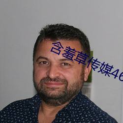 含羞草传媒46黄在线看 狗血喷头）