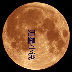 见星小说 （悼心疾首）
