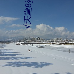 √天堂8资源中文 （阻止）