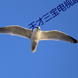 天才三宝电视剧免(miǎn)费观(guān)看