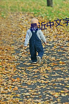 最近(jn)中文(wén)字(zì)幕大全