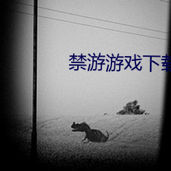 禁游游戏下载中心