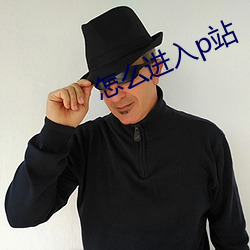 怎么进入p站 （月朗星稀）
