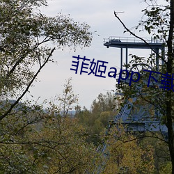 菲姬app下载直(直)播