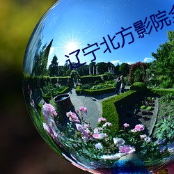 遼甯北方影院全集