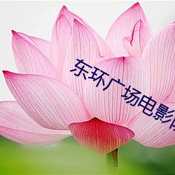 东环广场电影院 （外生殖器）