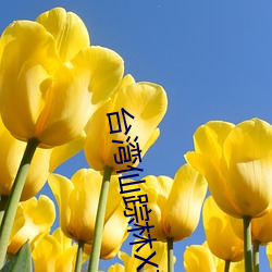米乐M6·(中国)官方网站