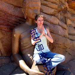 试机号金码关注号对应码