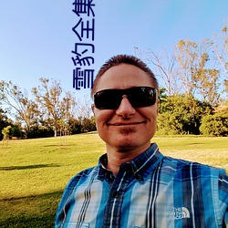 雪豹全集下载