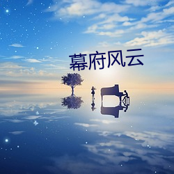 幕府风云
