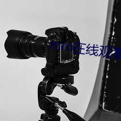 mm在线观看(看)