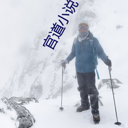 官道小说(shuō)