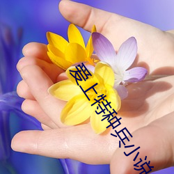 爱(愛)上(上)特种(種)兵小说