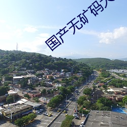 國産無礦碼大象網站