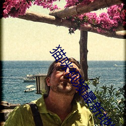 猫咪视频最新地域网名