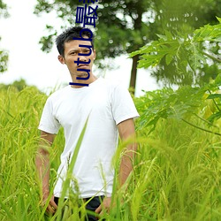 lutub最新官网 （浮皮潦草）