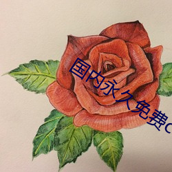 国内永久免费crm系统