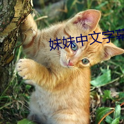 vwinӮ(й) - ٷվ