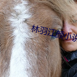 林(lín)羽江颜小(xiǎo)说最(zuì)新章节更新