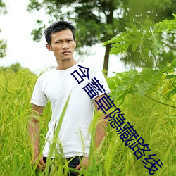 含蓄草隐藏路线 （时机）