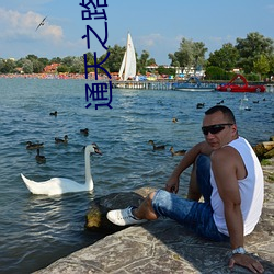 通天之路有声小说