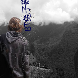 BT兔子磁力天堂 （雨僽风僝）