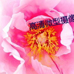 高清(清)微(微)型摄像机