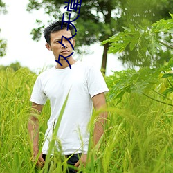 久久天堂视频