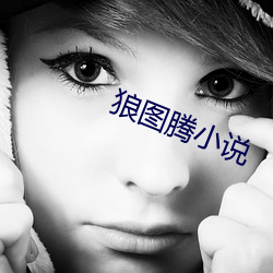 狼图(tú)腾小(xiǎo)说