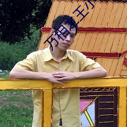万(wàn)相之王(wáng)小说