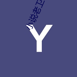 小說老衛和淑蓉全集小說