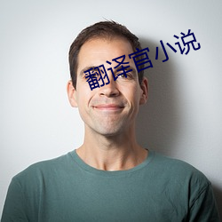 翻(翻)译官小说(說)