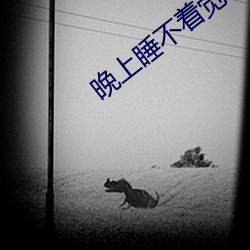 晚上睡不着觉看b站的软件免费版