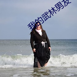 我的(de)武林男友