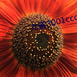 尤蜜(mì)3001ccom