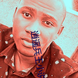 逍遥兵王小说 （站队）