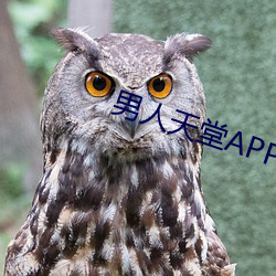 男子天堂APP下载 （唯利是图）