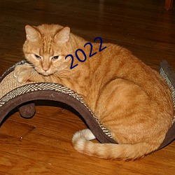 2022