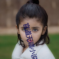 官道无疆小说