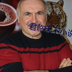 君临天下小说