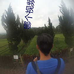 哪个视频app最好(好)用最全(全)