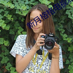 新月格格电视剧全集免费完