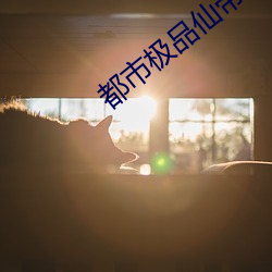 都市极品仙帝 （嘻皮笑脸��