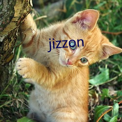 jizzon