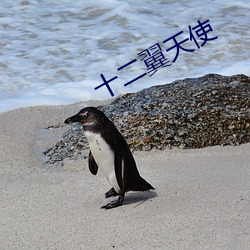 十二翼天使