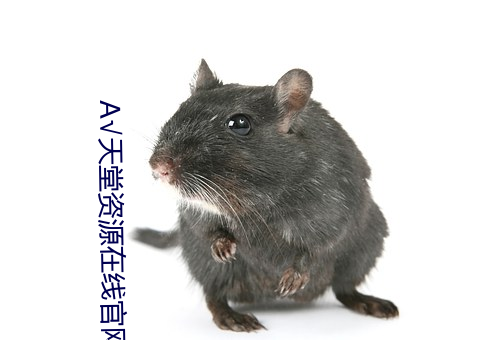 А√天堂资源在线官网BT （守岁）