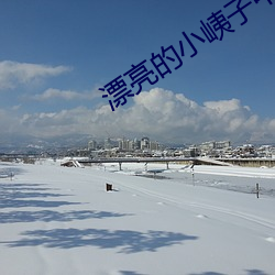 漂亮的小峓子中字巴巴鱼汤 （羽翼）