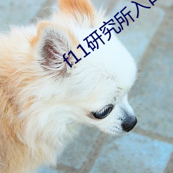 AG真人平台(中国)官方网站